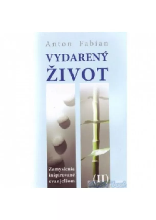 Anton Fabian - Vydarený život II. - Zamyslenia inšpirované evanjeliom