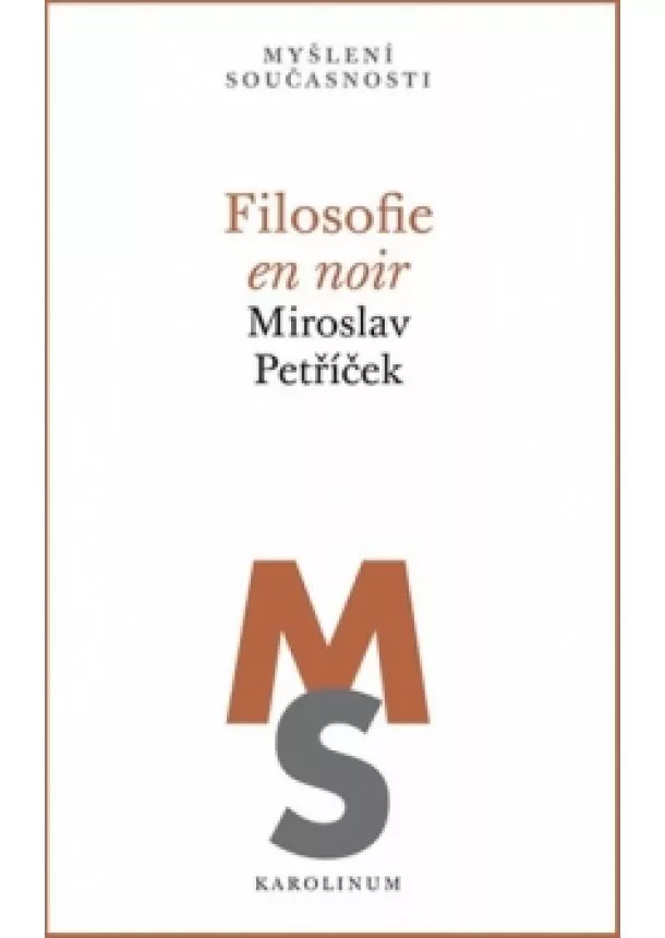 Miroslav Petříček - Filosofie en noir