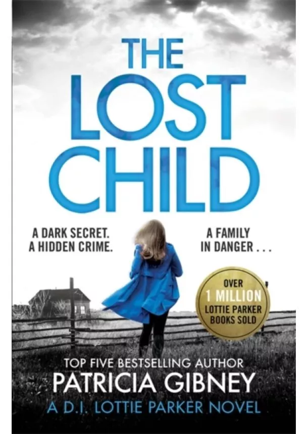 Patricia Gibney - The Lost Child