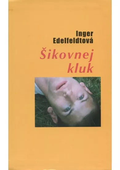 Šikovnej kluk