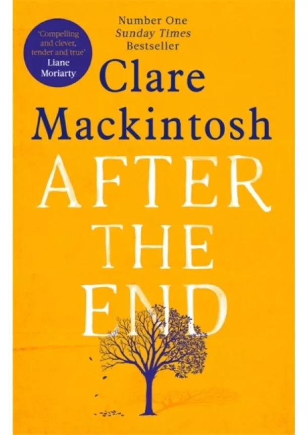 Clare Mackintosh - After the End