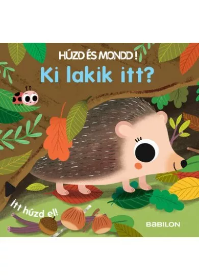 Ki lakik itt? - Húzd és mondd!