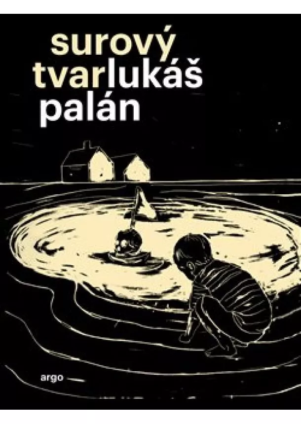 Lukáš Palán - Surový tvar