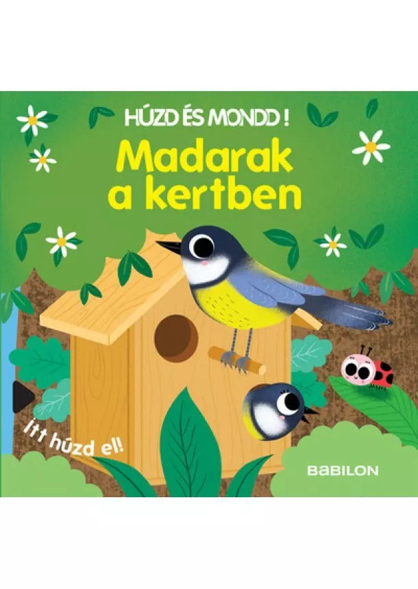 Sonja Baretti - Madarak a kertben - Húzd és mondd!