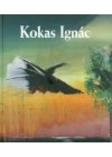 Kokas Ignác