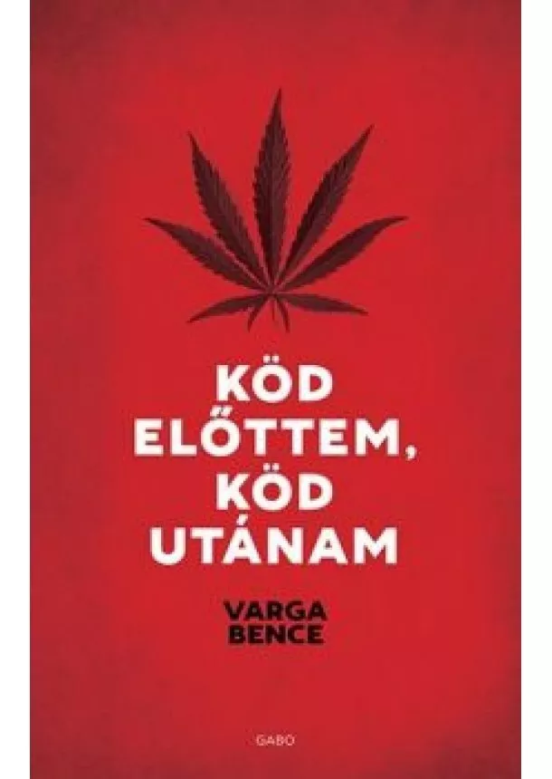 Varga Bence - Köd előttem, köd utánam