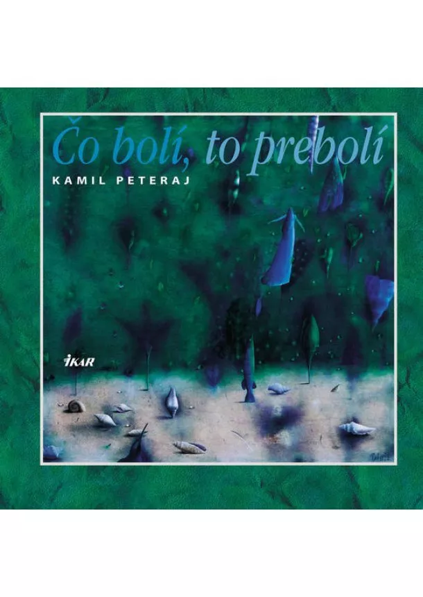 Kamil Peteraj - Čo bolí, to prebolí