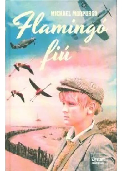 Flamingó fiú