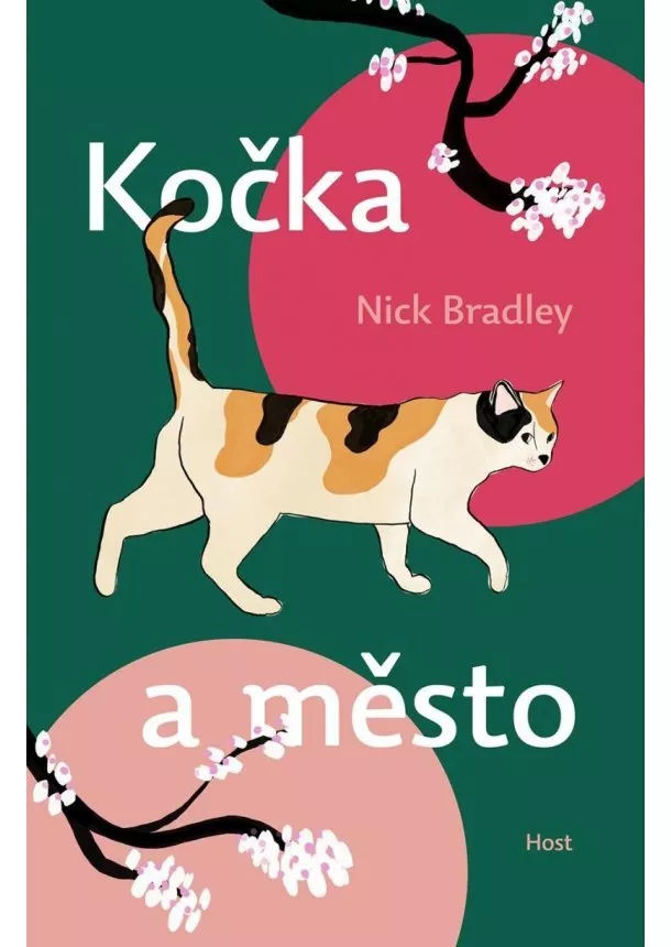 Nick Bradley - Kočka a město