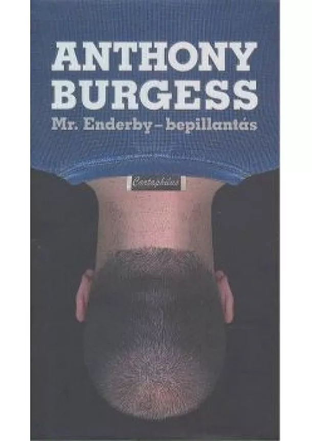 Anthony Burgess - Mr. Enderby /Bepillantás