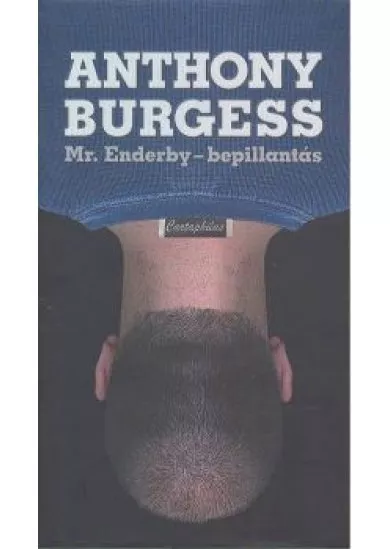 Mr. Enderby /Bepillantás