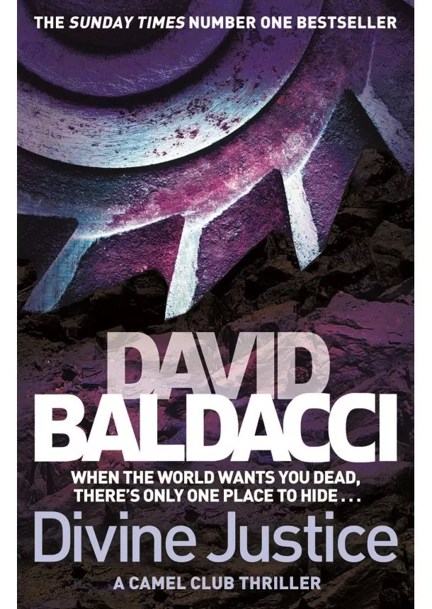 David Baldacci - Divine Justice