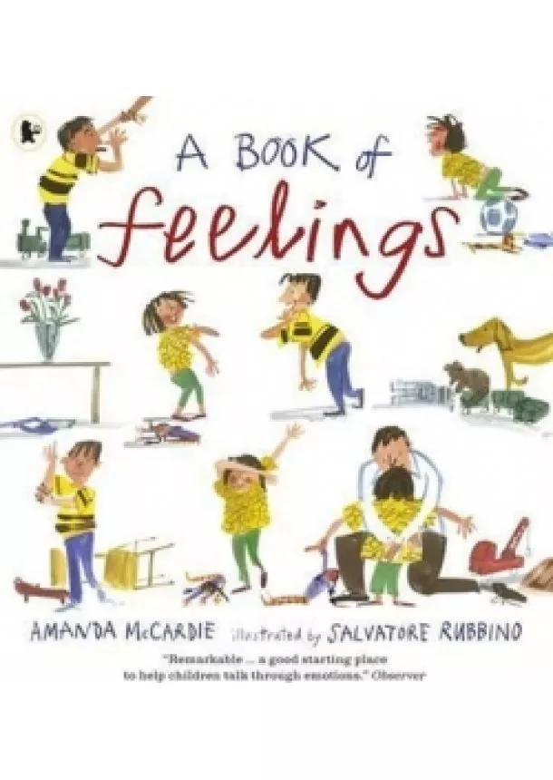 Amanda McCardie - A Book of Feelings