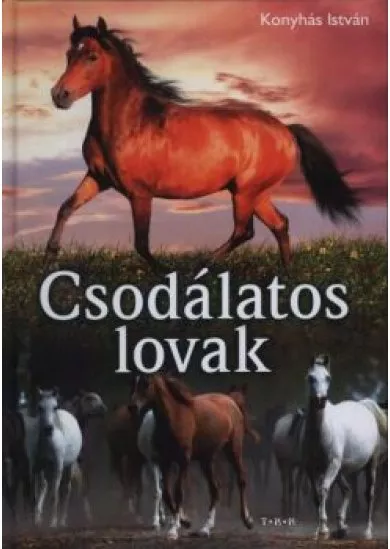 Csodálatos lovak