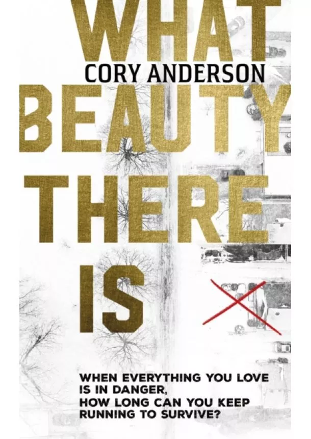 Cory Anderson - What Beauty There Is