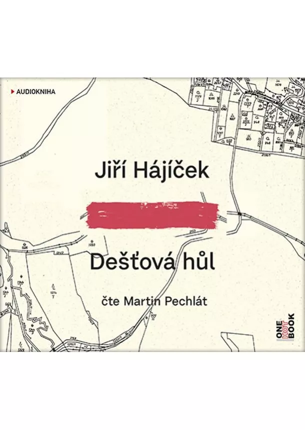 Jiří Hájíček - Dešťová hůl - CDmp3 (Čte Martin Pechlát)