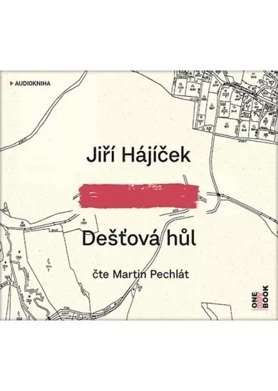 Dešťová hůl - CDmp3 (Čte Martin Pechlát)