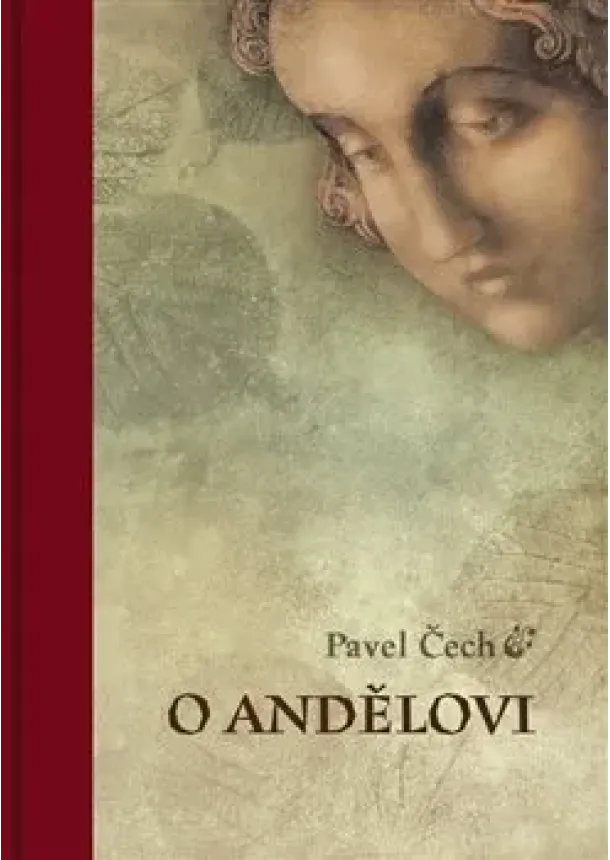 Pavel Čech - O andělovi