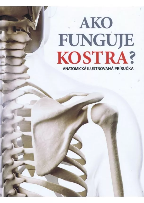 Kolektív - Ako funguje kostra ?