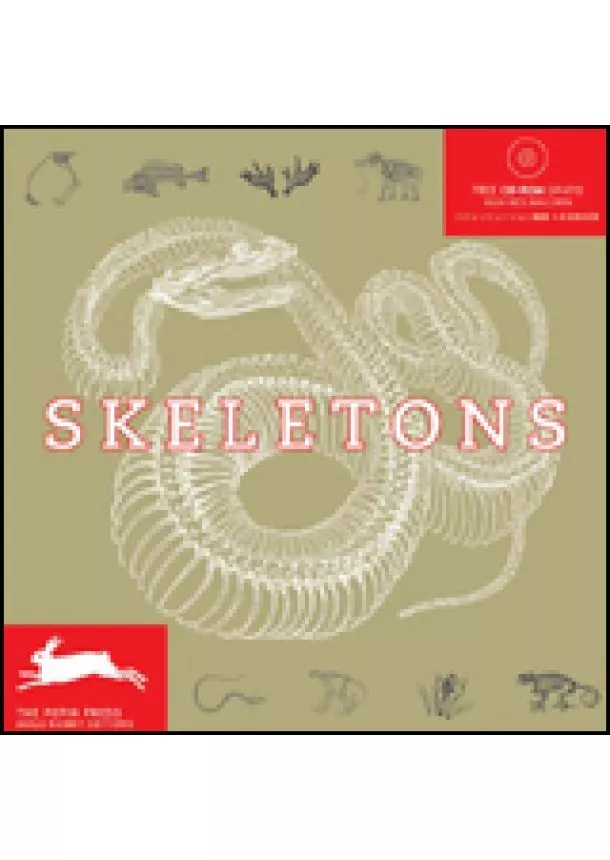 Skeletons