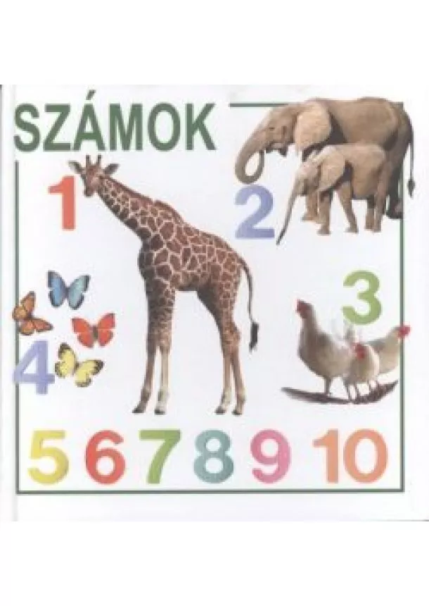 VÁLOGATÁS - SZÁMOK