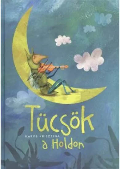 TÜCSÖK A HOLDON