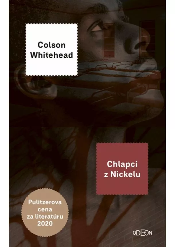 Colson Whitehead - Chlapci z Nickelu