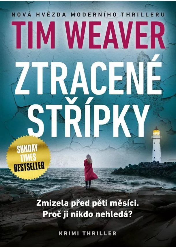 Tim Weaver - Ztracené střípky