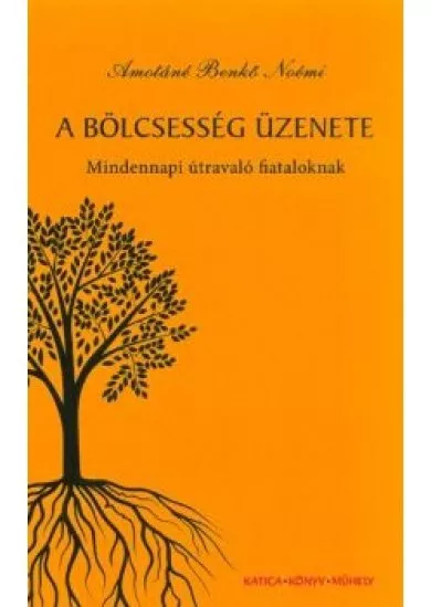 A bölcsesség üzenete - Mindennapi útmutató fiataloknak