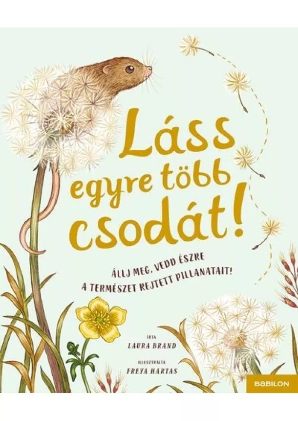 Laura Brand - Láss egyre több csodát! - Állj meg, vedd észre a természet rejtett pillanatait! - Láss csodát!