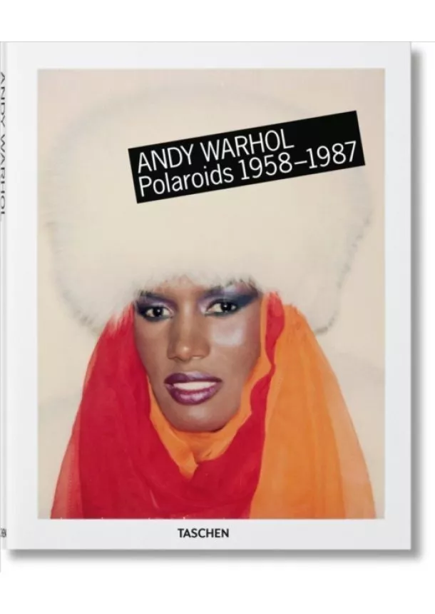 Richard B. Woodward - Warhol, Polaroids