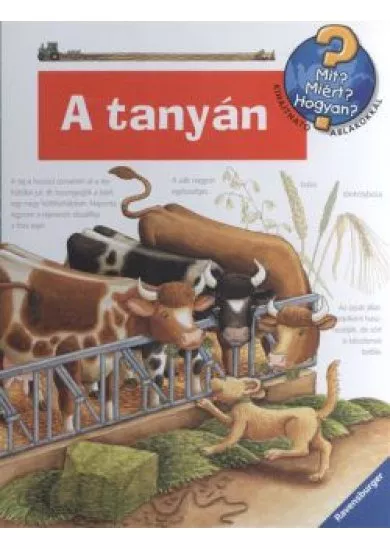 A TANYÁN