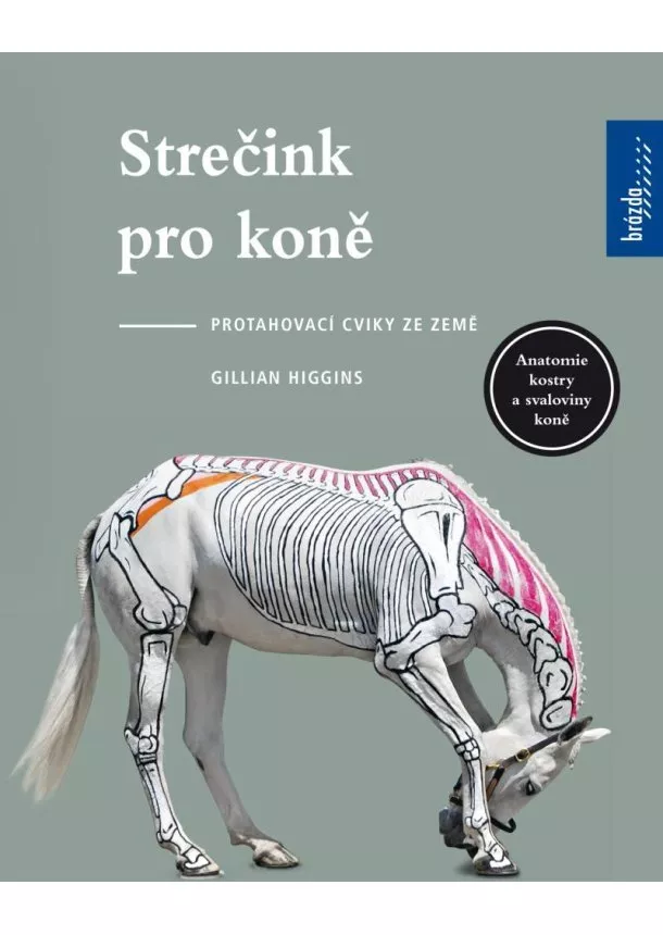 Gillian Higgins  - Strečink pro koně - protahovací cviky ze země