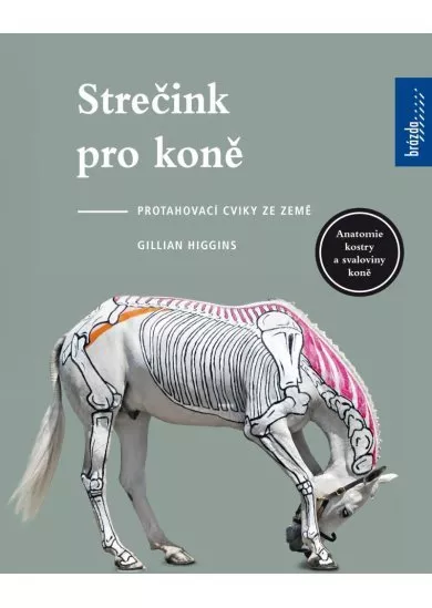 Strečink pro koně - protahovací cviky ze země