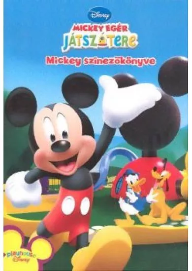 MICKEY EGÉR JÁTSZÓTERE