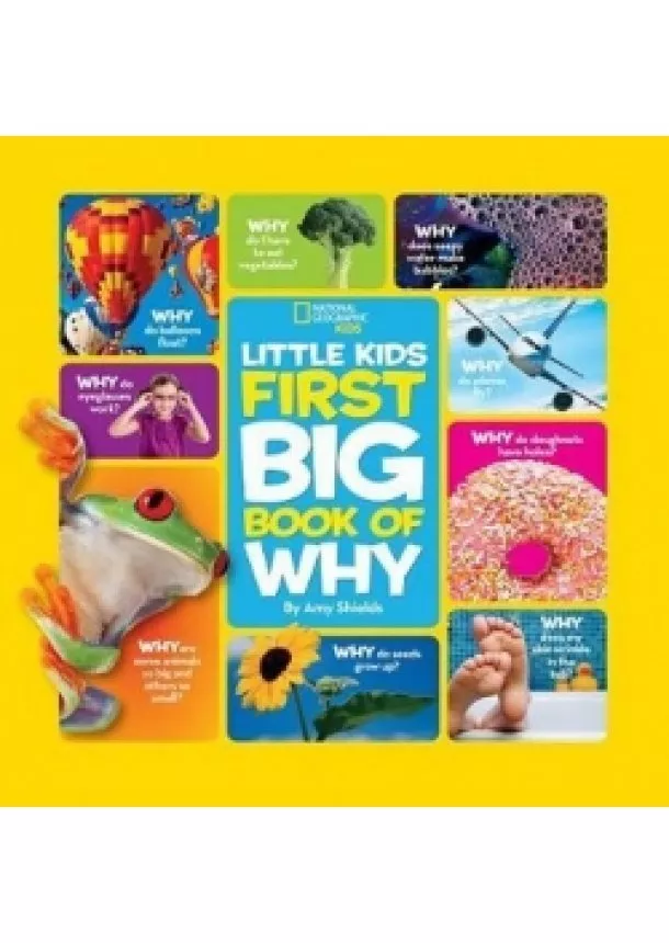 Amy Shields - Little Kids First Big Book of Why