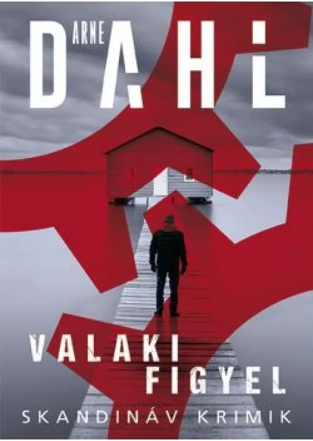 Arne Dahl - Valaki figyel - Skandináv krimik