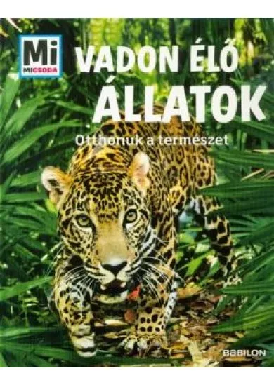 Vadon élő állatok - Otthonuk a természet /Mi Micsoda