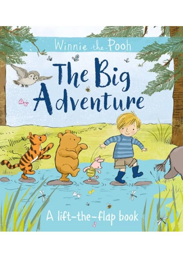 Jane Riordan - Winnie The Poohs Big Adventure Lift The Flap