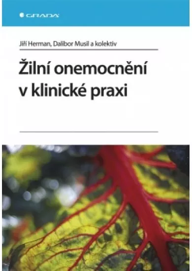 Žilní onemocnění v klinické praxi