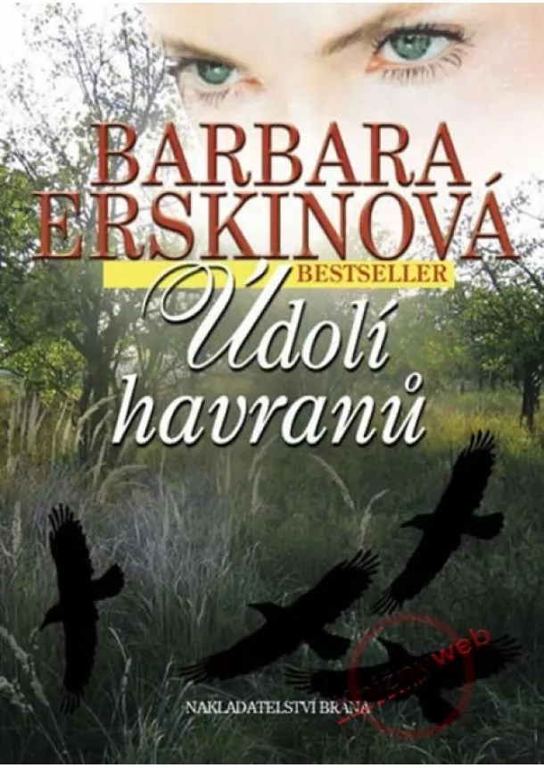 Barbara Erskinová - Údolí havranů