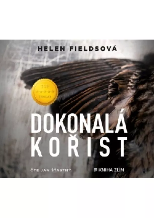 Helen Fieldsová - Dokonalá kořist (audiokniha)