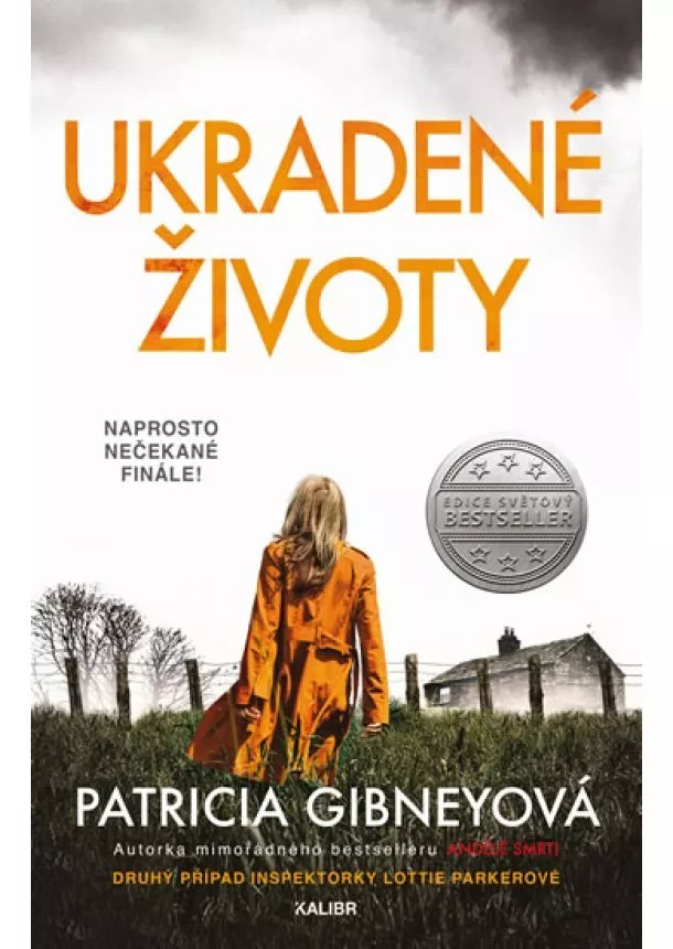 Patricia Gibneyová - Ukradené životy