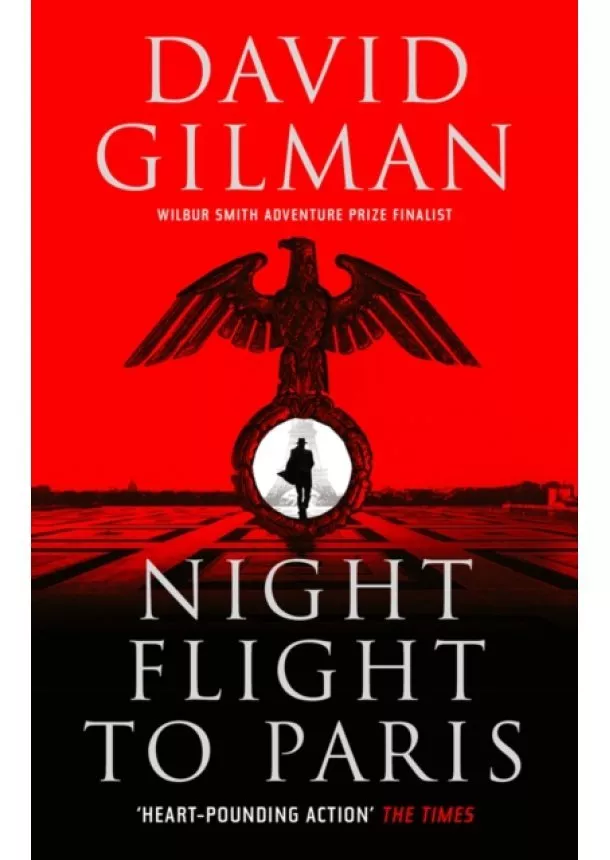 David Gilman - Night Flight to Paris