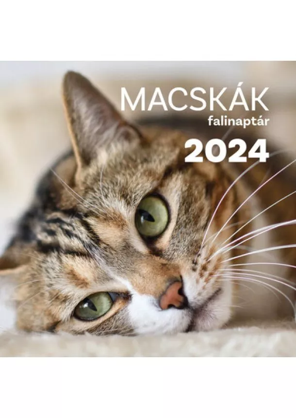 Naptár - Macskák falinaptár 2024