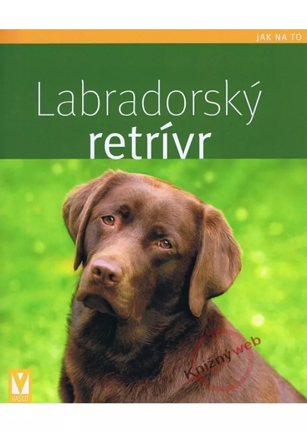 Katharina Schlegl-Kofler - Labradorský retrívr