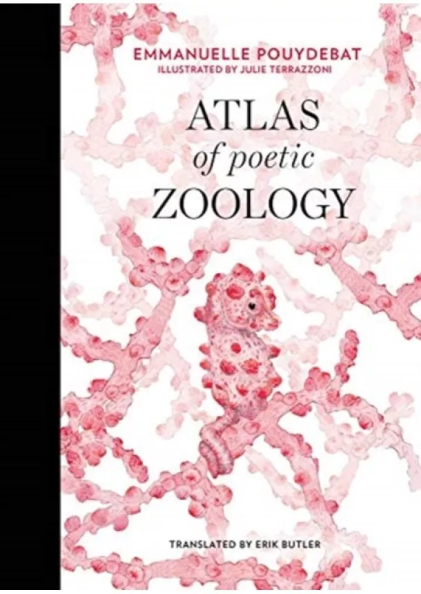 Emmanuelle (Permanent Researcher, CNRS) Pouydebat - Atlas of Poetic Zoology