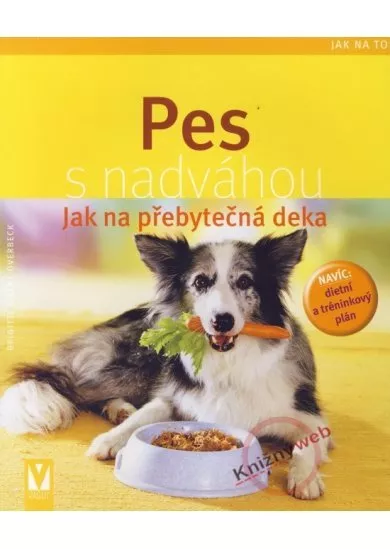 Pes s nadváhou - Jak na to