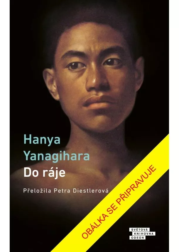 Hanya Yanagihara - Do ráje