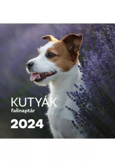 Kutyák falinaptár 2024.
